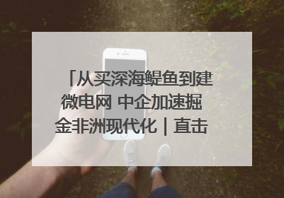从买深海鳀鱼到建微电网 中企加速掘金非洲现代化｜直击中非经贸博览会