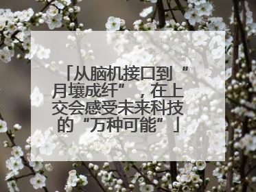 从脑机接口到“月壤成纤”，在上交会感受未来科技的“万种可能”