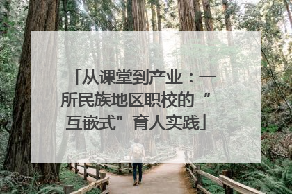 从课堂到产业：一所民族地区职校的“互嵌式”育人实践