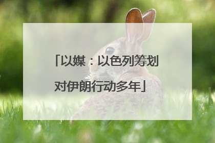 以媒：以色列筹划对伊朗行动多年