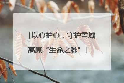 以心护心，守护雪域高原“生命之脉”