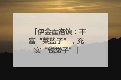 伊金霍洛镇：丰富“菜篮子”，充实“钱袋子”