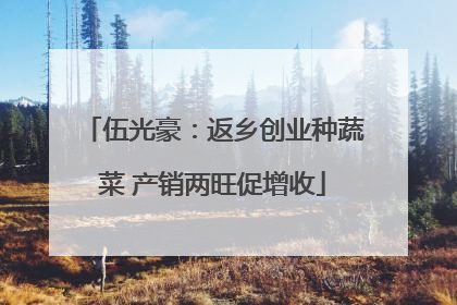 伍光豪：返乡创业种蔬菜 产销两旺促增收