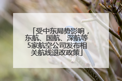 受中东局势影响，东航、国航、深航等5家航空公司发布相关航线退改政策