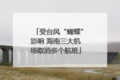 受台风“蝴蝶”影响 海南三大机场取消多个航班