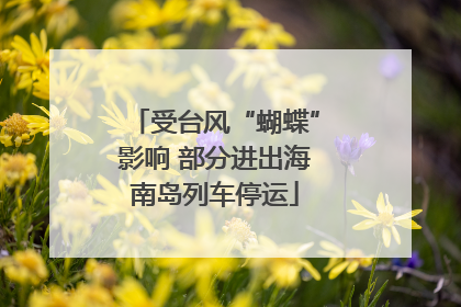 受台风“蝴蝶”影响 部分进出海南岛列车停运