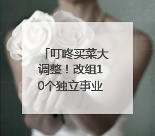 叮咚买菜大调整！改组10个独立事业部，计划在5月完成App端全面改版
