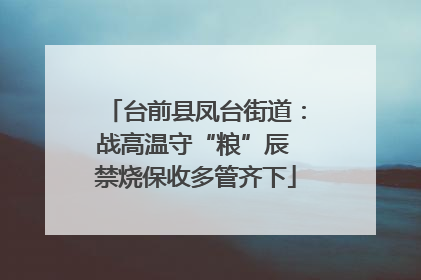 台前县凤台街道：战高温守“粮”辰 禁烧保收多管齐下
