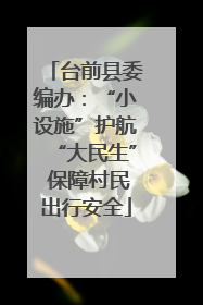 台前县委编办：“小设施”护航“大民生” 保障村民出行安全
