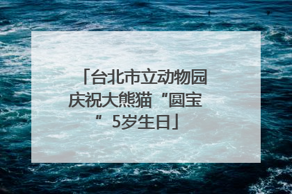 台北市立动物园庆祝大熊猫“圆宝”5岁生日