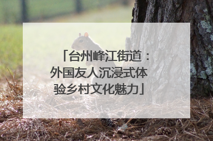 台州峰江街道：外国友人沉浸式体验乡村文化魅力