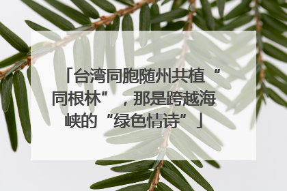 台湾同胞随州共植“同根林”，那是跨越海峡的“绿色情诗”