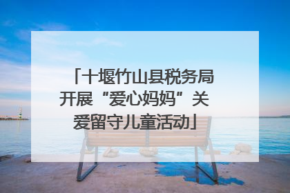 十堰竹山县税务局开展“爱心妈妈”关爱留守儿童活动