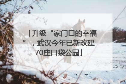 升级“家门口的幸福”，武汉今年已新改建70座口袋公园