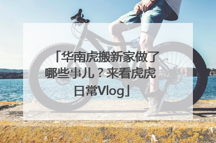 华南虎搬新家做了哪些事儿？来看虎虎日常Vlog