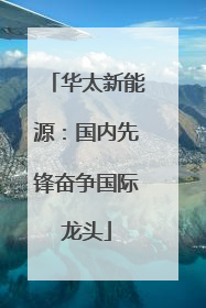 华太新能源：国内先锋奋争国际龙头