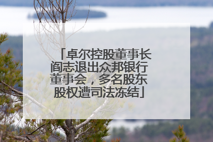 卓尔控股董事长阎志退出众邦银行董事会，多名股东股权遭司法冻结
