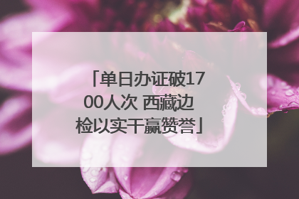 单日办证破1700人次 西藏边检以实干赢赞誉
