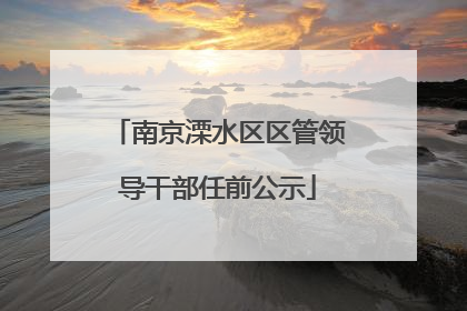 南京溧水区区管领导干部任前公示