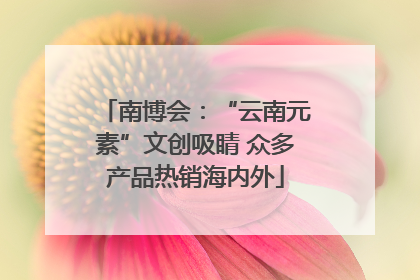 南博会：“云南元素”文创吸睛 众多产品热销海内外