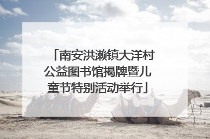 南安洪濑镇大洋村公益图书馆揭牌暨儿童节特别活动举行