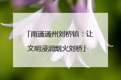 南通通州刘桥镇：让文明浸润烟火刘桥