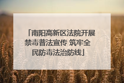 南阳高新区法院开展禁毒普法宣传 筑牢全民防毒法治防线