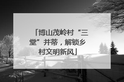 博山茂岭村“三堂”并蒂，解锁乡村文明新风