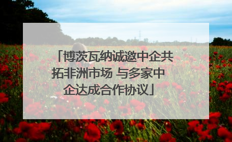博茨瓦纳诚邀中企共拓非洲市场 与多家中企达成合作协议