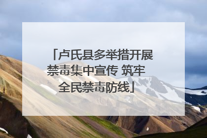 卢氏县多举措开展禁毒集中宣传 筑牢全民禁毒防线