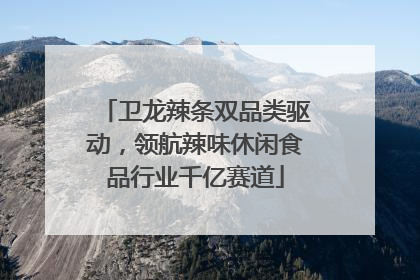 卫龙辣条双品类驱动，领航辣味休闲食品行业千亿赛道
