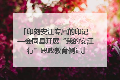 印刻安江专属的印记——会同县开展“我的安江行”思政教育侧记