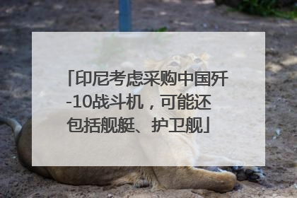 印尼考虑采购中国歼-10战斗机，可能还包括舰艇、护卫舰