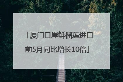 厦门口岸鲜榴莲进口 前5月同比增长10倍