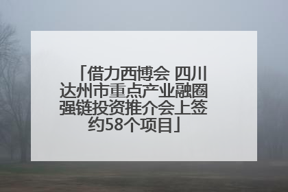 借力西博会 四川达州市重点产业融圈强链投资推介会上签约58个项目