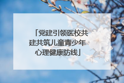 党建引领医校共建共筑儿童青少年心理健康防线