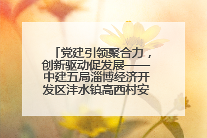 党建引领聚合力，创新驱动促发展——中建五局淄博经济开发区沣水镇高西村安置项目建设纪实