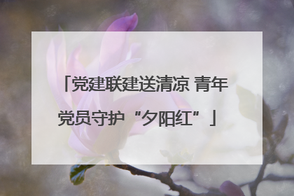 党建联建送清凉 青年党员守护“夕阳红”