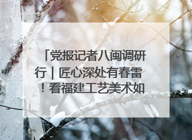 党报记者八闽调研行｜匠心深处有春雷！看福建工艺美术如何创新表达