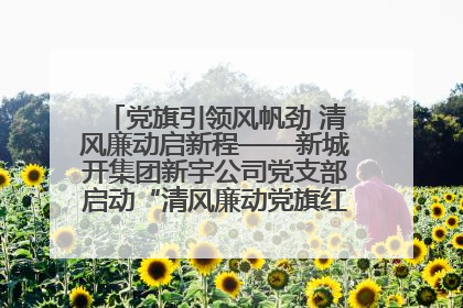 党旗引领风帆劲 清风廉动启新程——新城开集团新宇公司党支部启动“清风廉动党旗红”系列活动