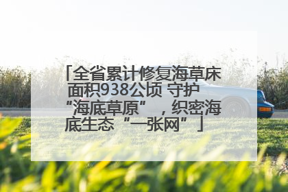 全省累计修复海草床面积938公顷 守护“海底草原”，织密海底生态“一张网”