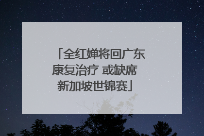 全红婵将回广东康复治疗 或缺席新加坡世锦赛