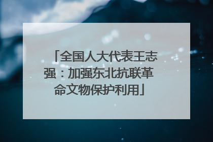 全国人大代表王志强：加强东北抗联革命文物保护利用