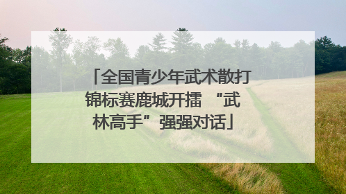 全国青少年武术散打锦标赛鹿城开擂 “武林高手”强强对话