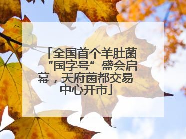 全国首个羊肚菌“国字号”盛会启幕，天府菌都交易中心开市