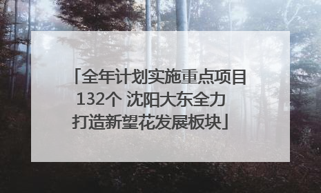 全年计划实施重点项目132个 沈阳大东全力打造新望花发展板块