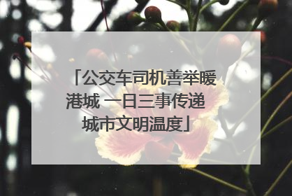 公交车司机善举暖港城 一日三事传递城市文明温度