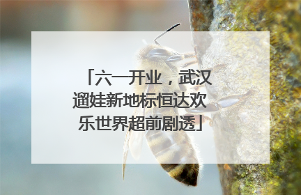 六一开业，武汉遛娃新地标恒达欢乐世界超前剧透