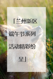 兰州新区端午节系列活动精彩纷呈