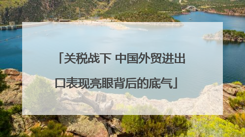 关税战下 中国外贸进出口表现亮眼背后的底气
